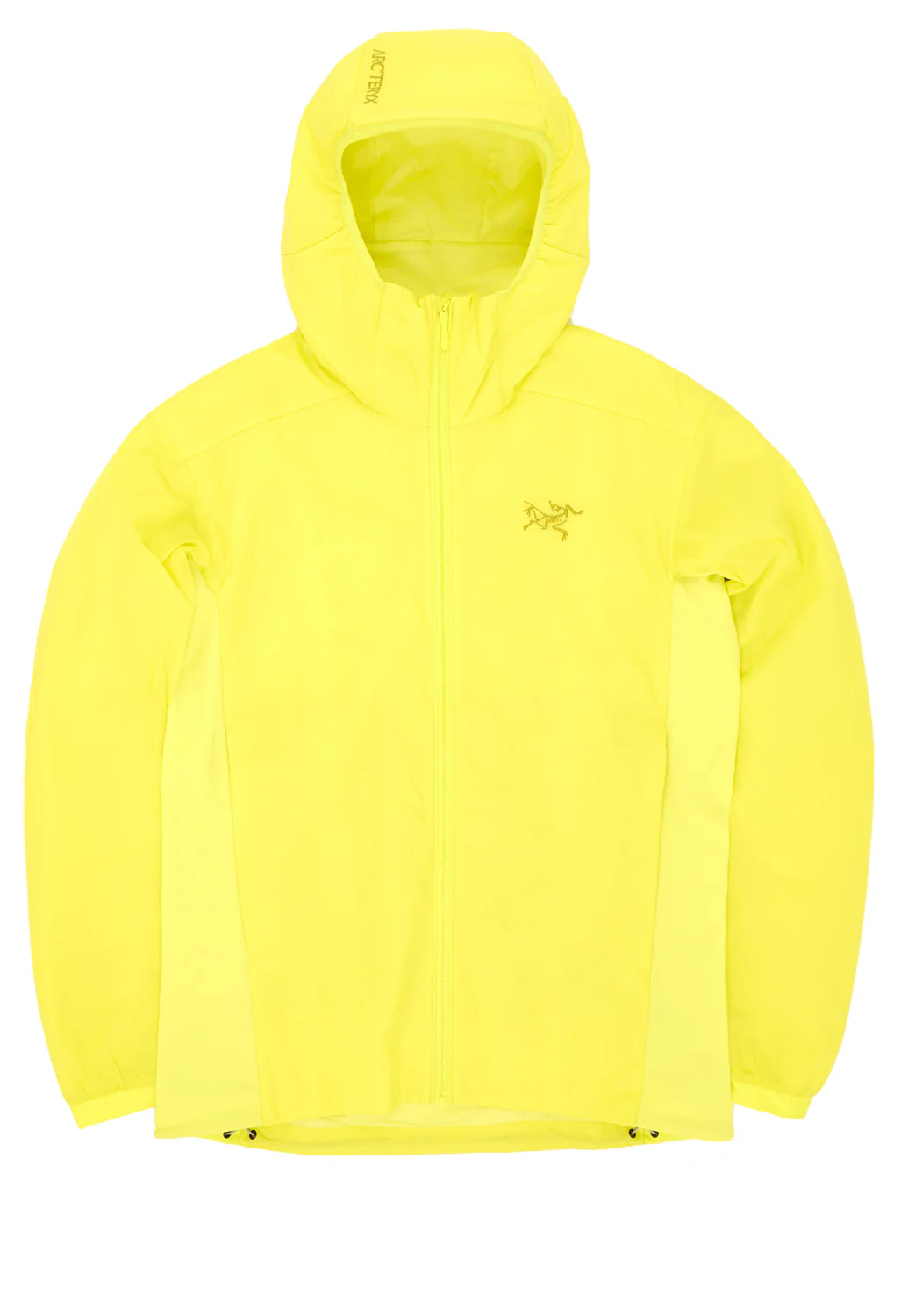 Arc'teryx Men's Atom Hoody - Euphoria