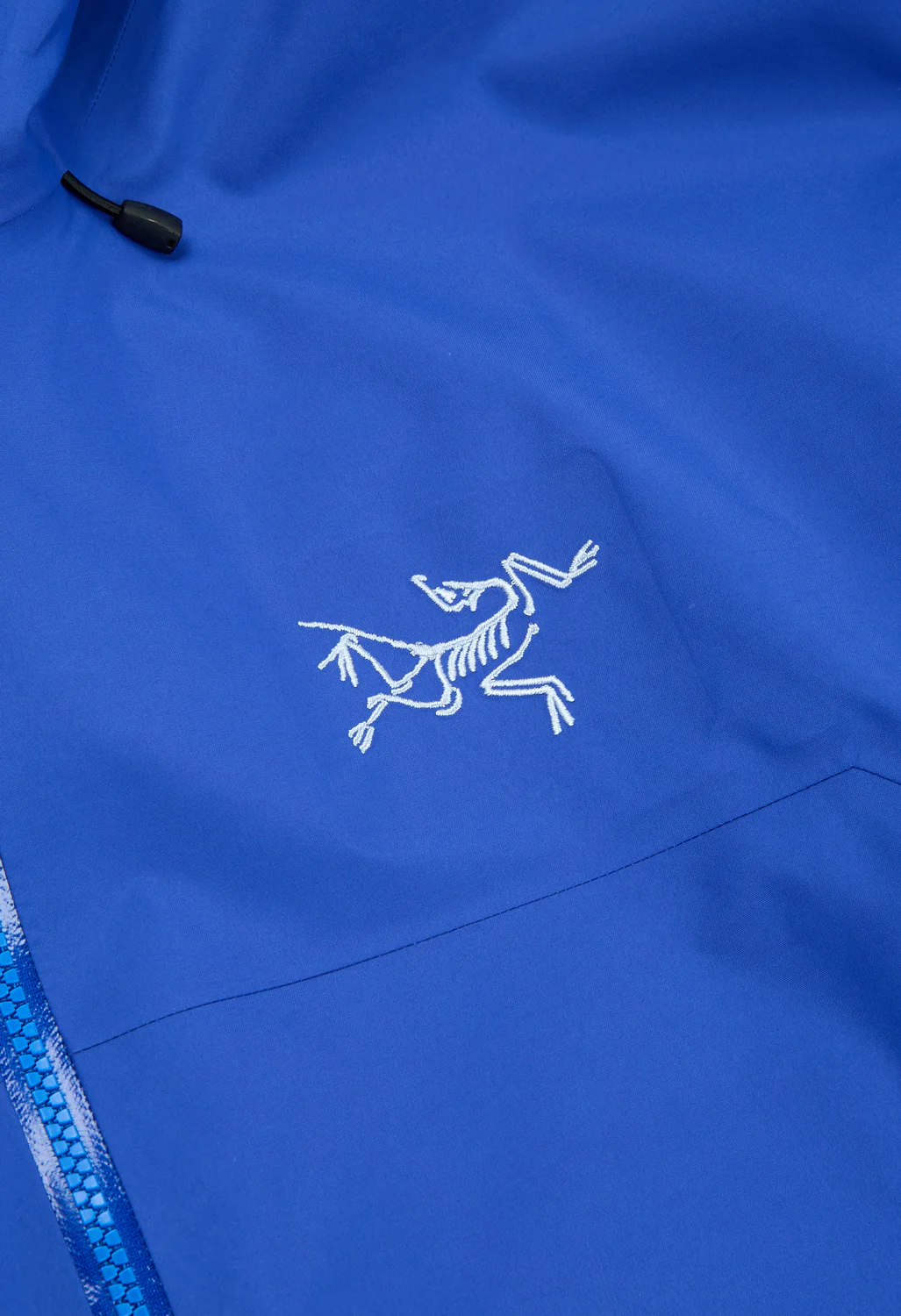 Arc'teryx Men's Beta SL Jacket - Vitality II - Image 4