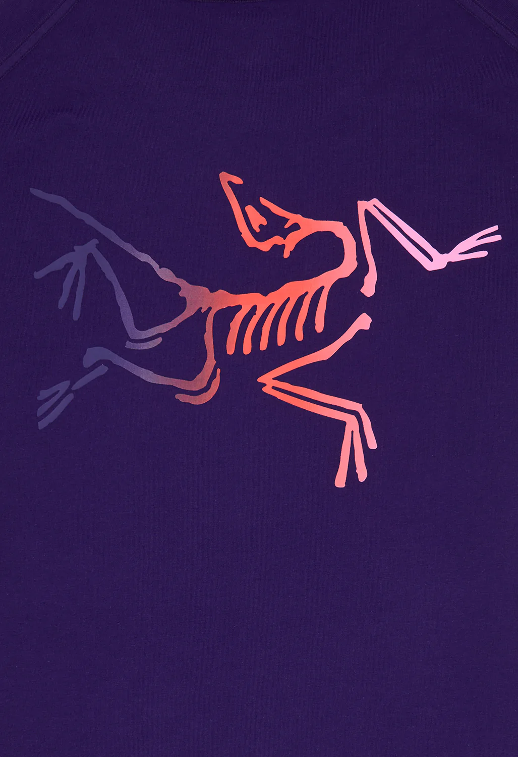 Arc'teryx Men's Kragg Logo T-Shirt - Soulsonic - Image 4