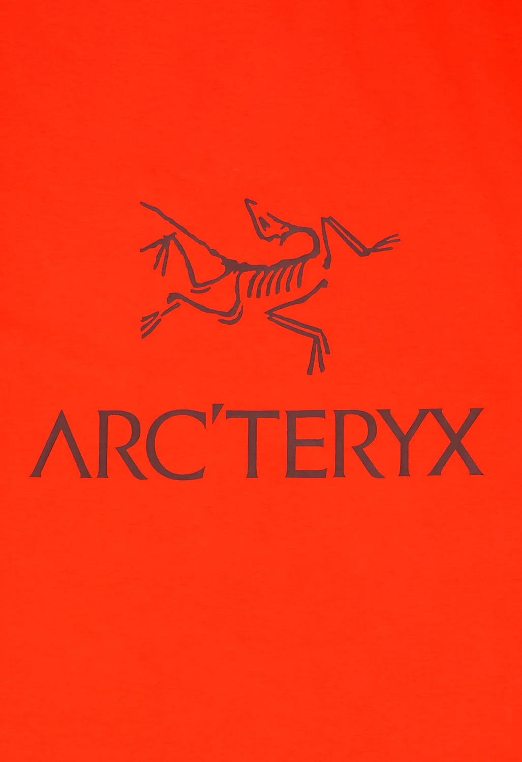 Arc'teryx Men's Kragg SL Bird Word T-Shirt - Dynasty / Mars - Image 4