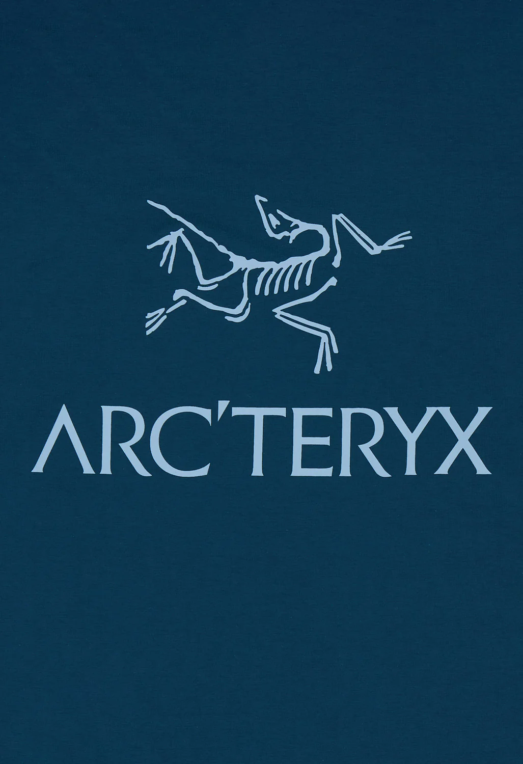 Arc'teryx Men's Kragg SL Bird Word T-Shirt - Nightscape / Lt Night - Image 4