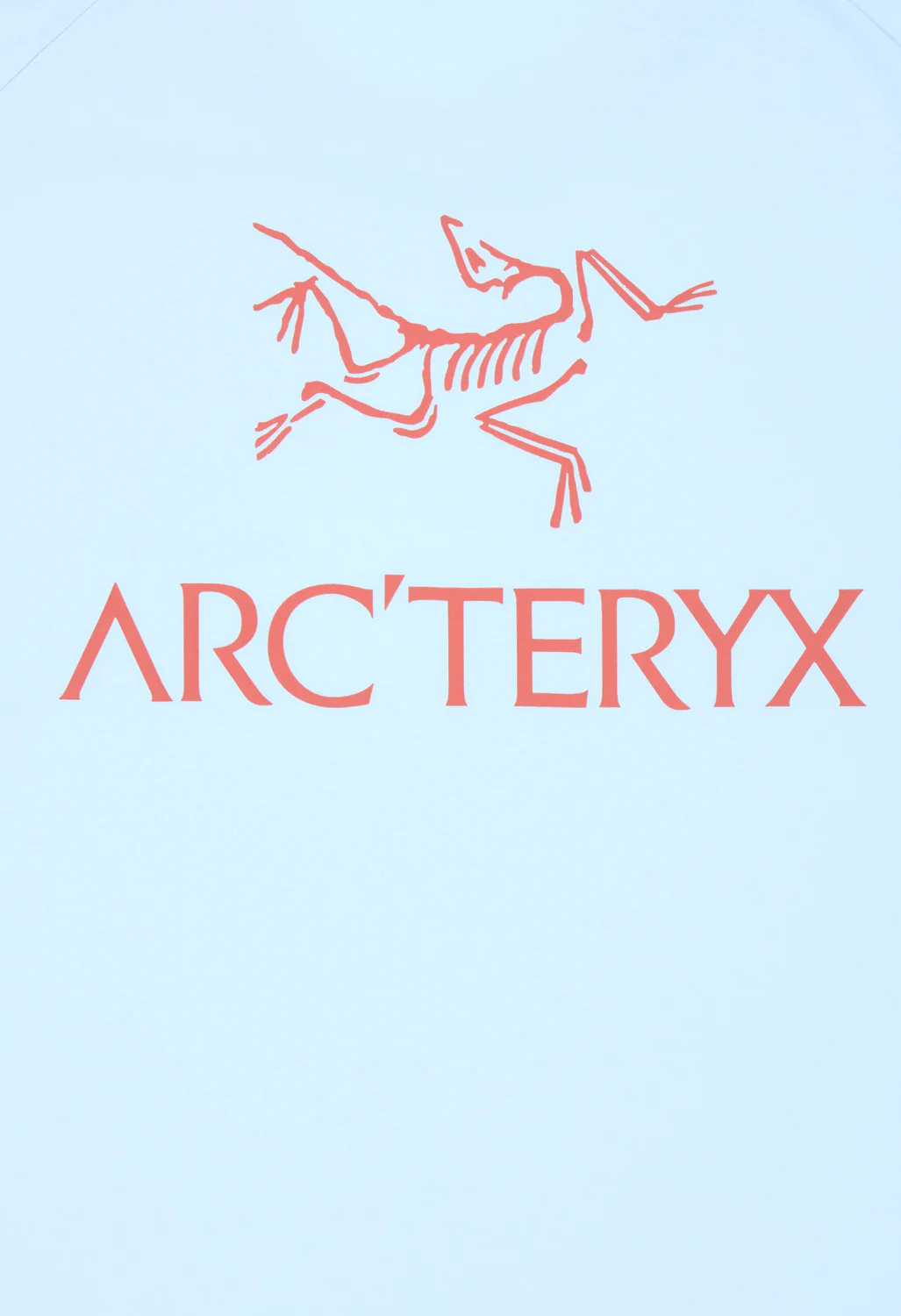 Arc'teryx Men's SL Cotton Bird Word Short Sleeved T-Shirt - Alpine Blue / Stone Red - Image 4