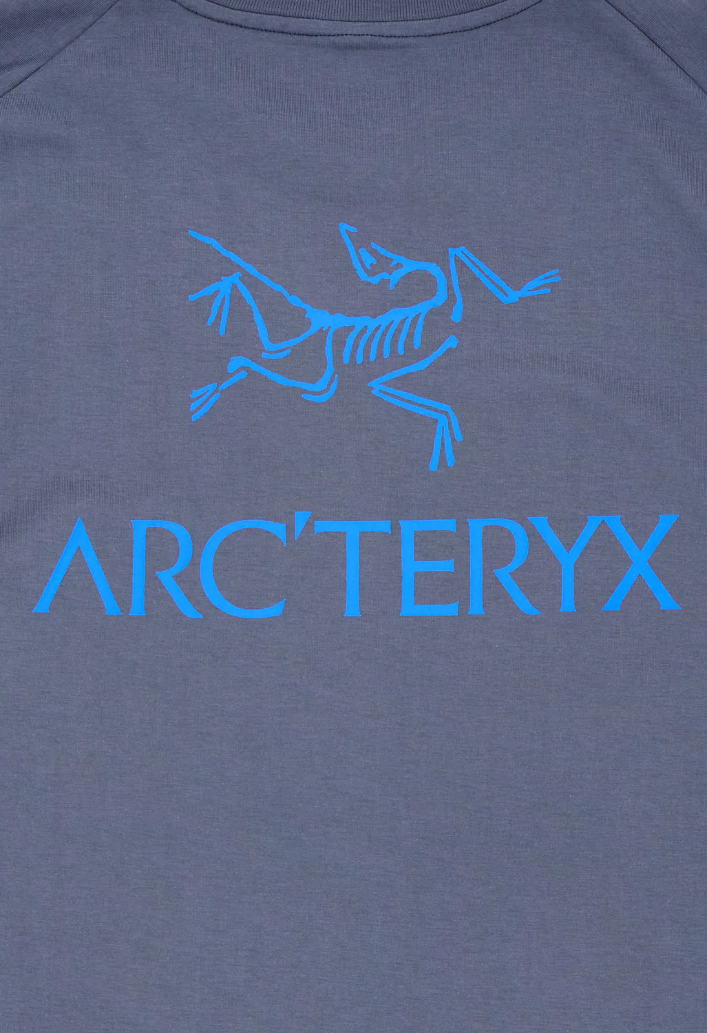 Arc'teryx Men's SL Cotton Bird Word Short Sleeved T-Shirt - Dark Stratus / Fluidity - Image 4