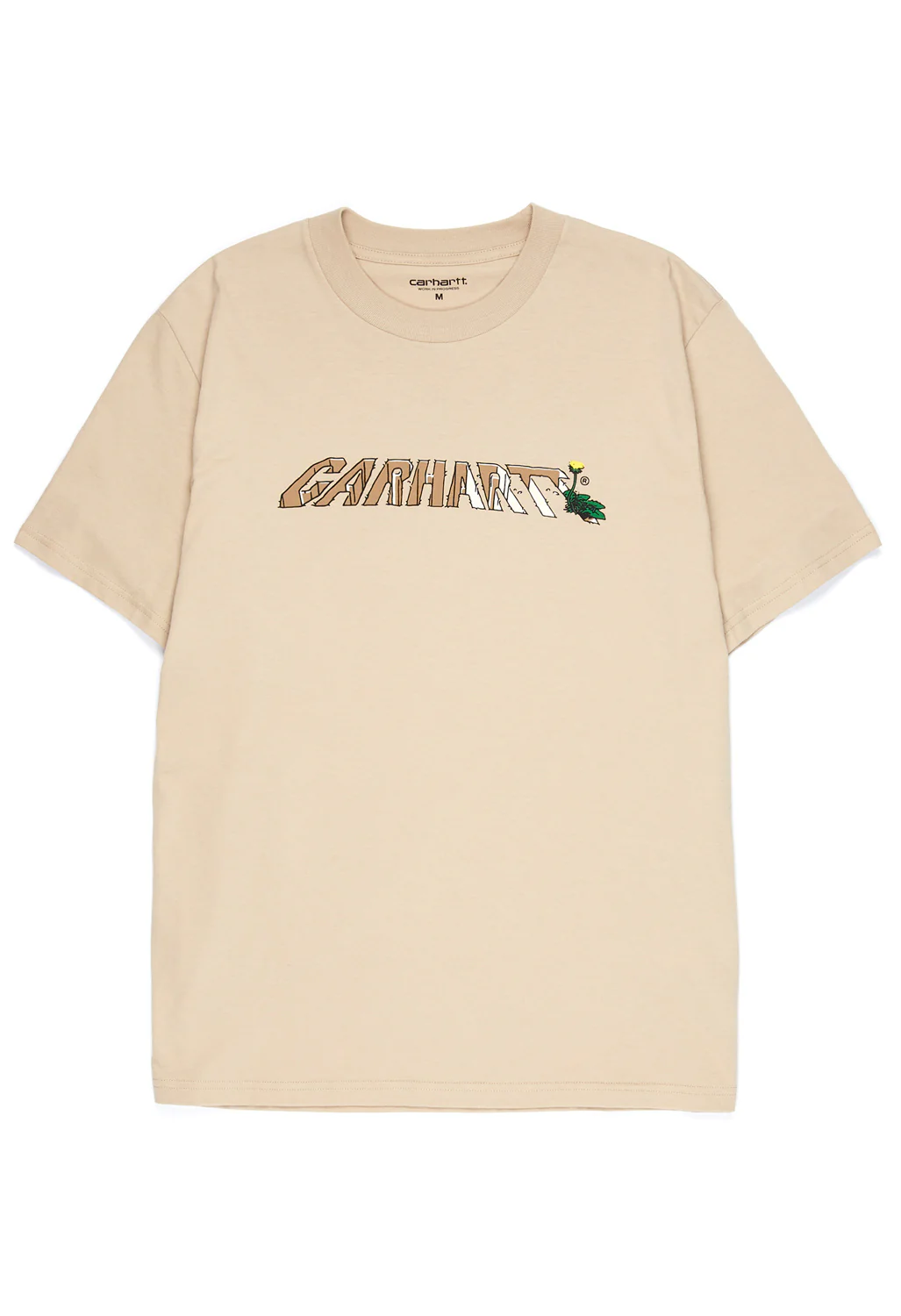 Carhartt WIP Men's Dandelion Script T-Shirt - Wall