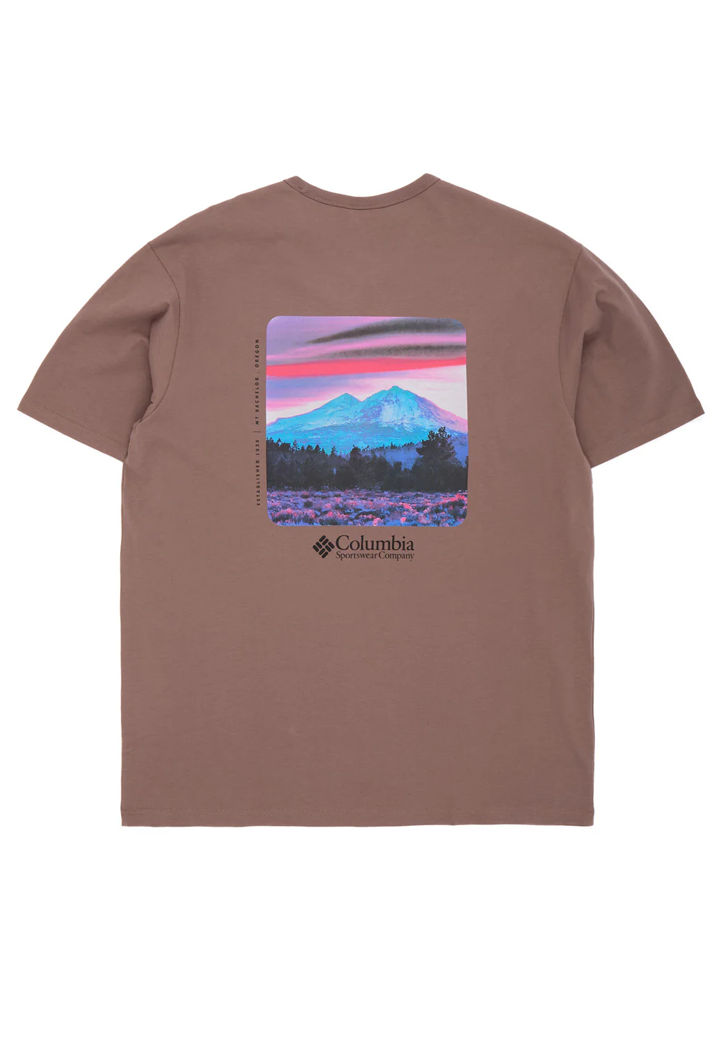 Columbia Men's CSC Heavyweight Back Graphic Tee - Iron / Photoreal CMYK