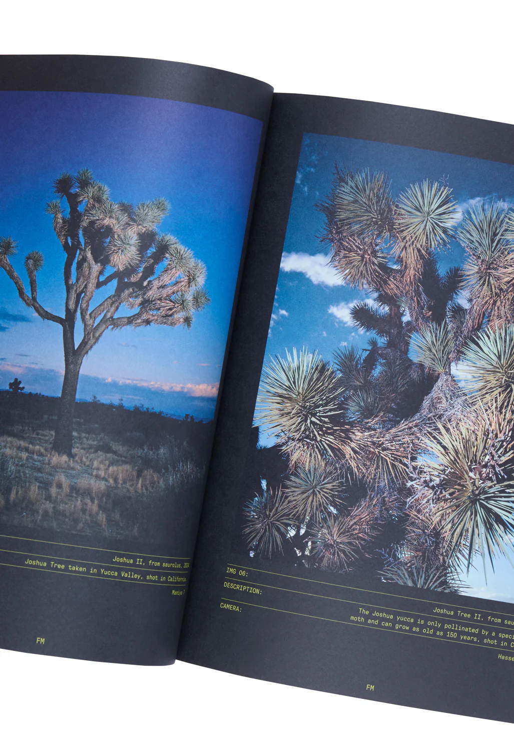 Field Mag Print Issue 01 - Friends & Lovers Cover - Image 2