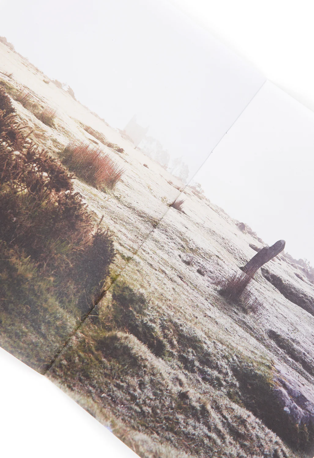 Weird Walk Leyline Zine - Image 4
