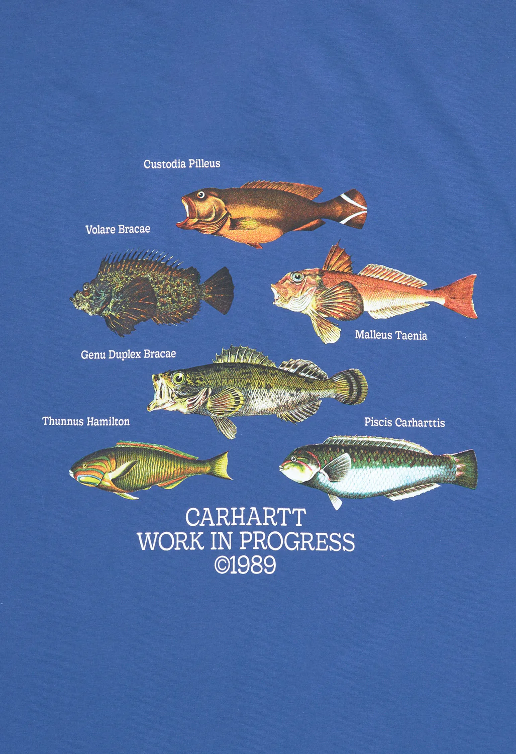 Carhartt WIP Men's Fish T-Shirt - Acapulco - Image 4