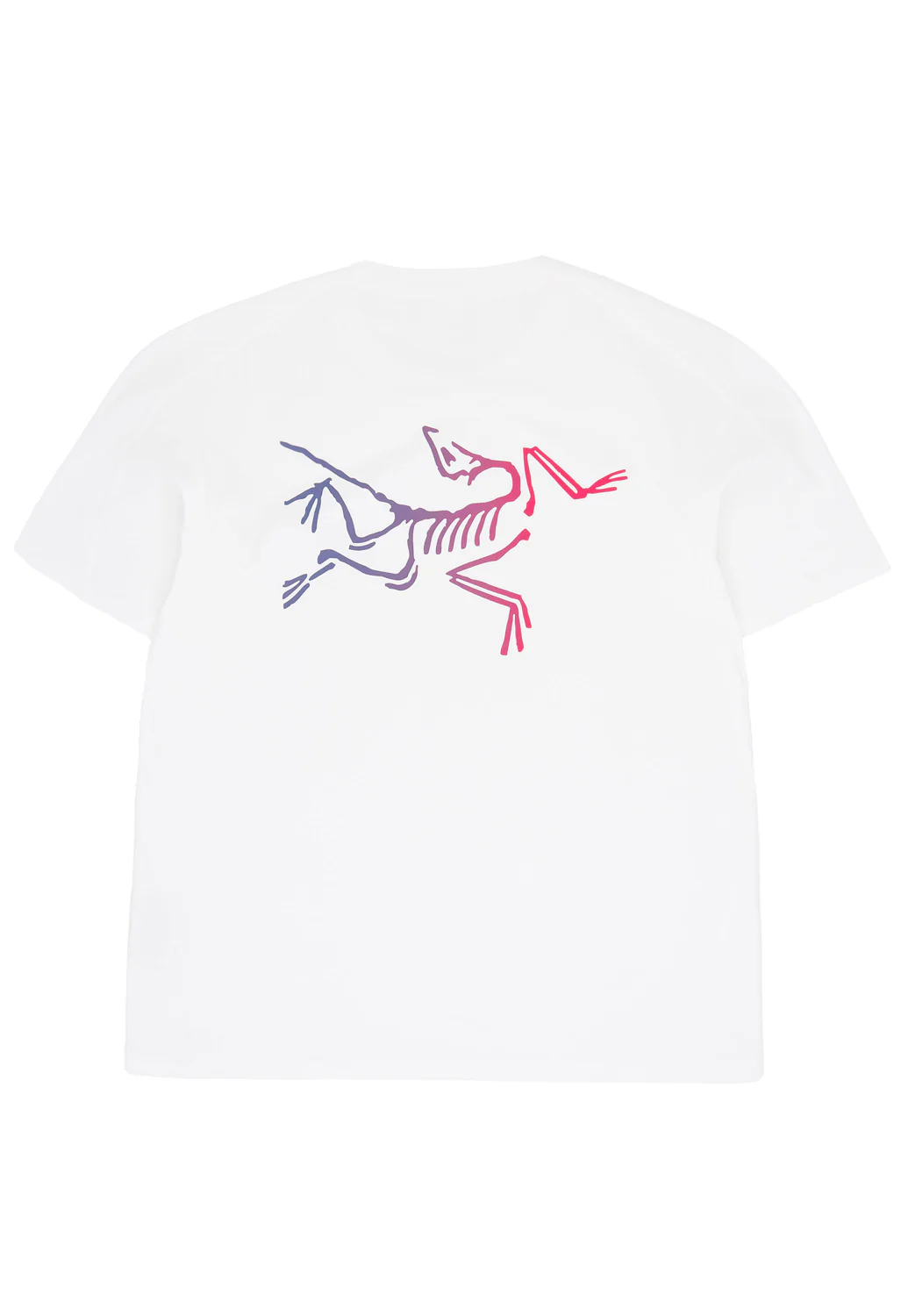 Arc'teryx Men's Kragg Cotton Logo Short Sleeve T Shirt - White Light / Multi