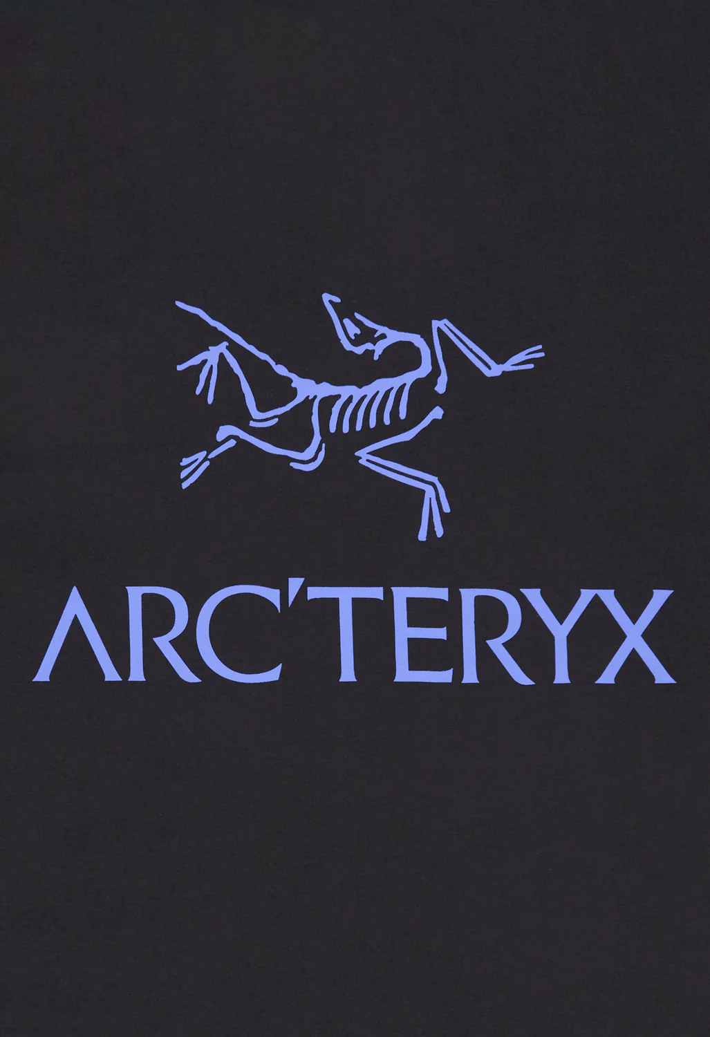 Arc'teryx Men's Kragg SL Bird Word T-Shirt - Black / Electra - Image 4