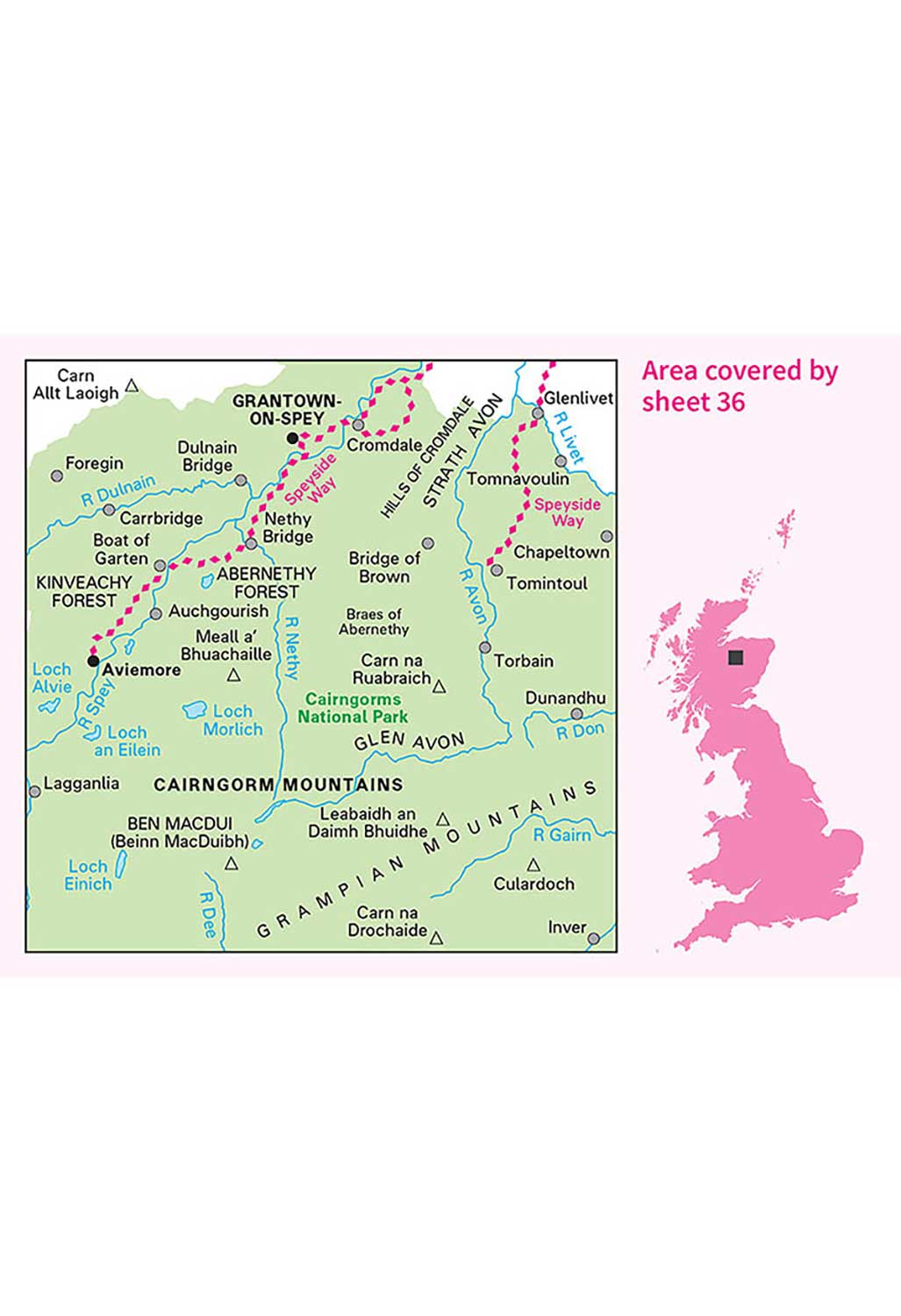 Ordnance Survey Grantown & Aviemore - Landranger Active 36 Map - Image 4