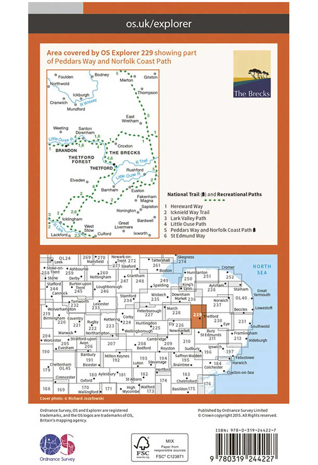 Ordnance Survey Thetford Forest in The Brecks, Thetford & Brandon - OS Explorer 229 Map - Image 2