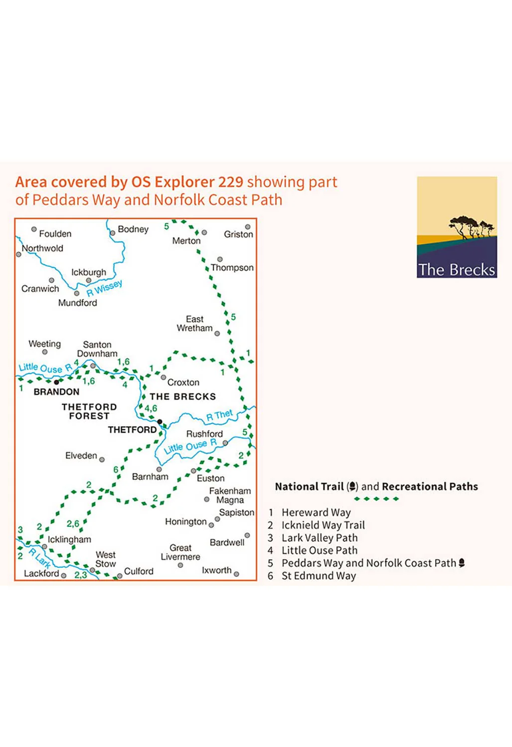 Ordnance Survey Thetford Forest in The Brecks, Thetford & Brandon - OS Explorer 229 Map - Image 3