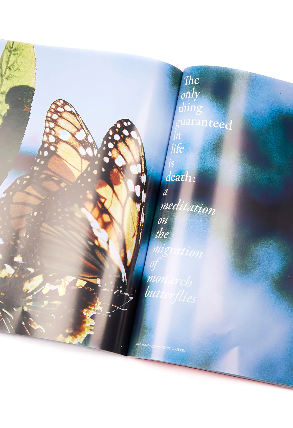 Orienteer Issue 08 - Great Monarch Cover - Image 3