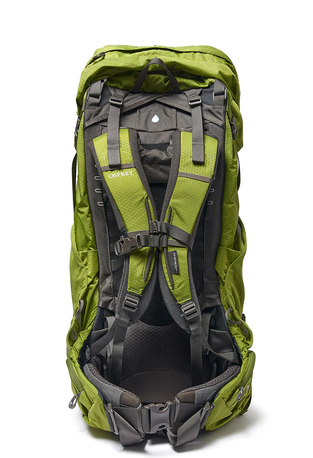 Osprey Aether 65 Backpack - Garlic Mustard Green - Image 3