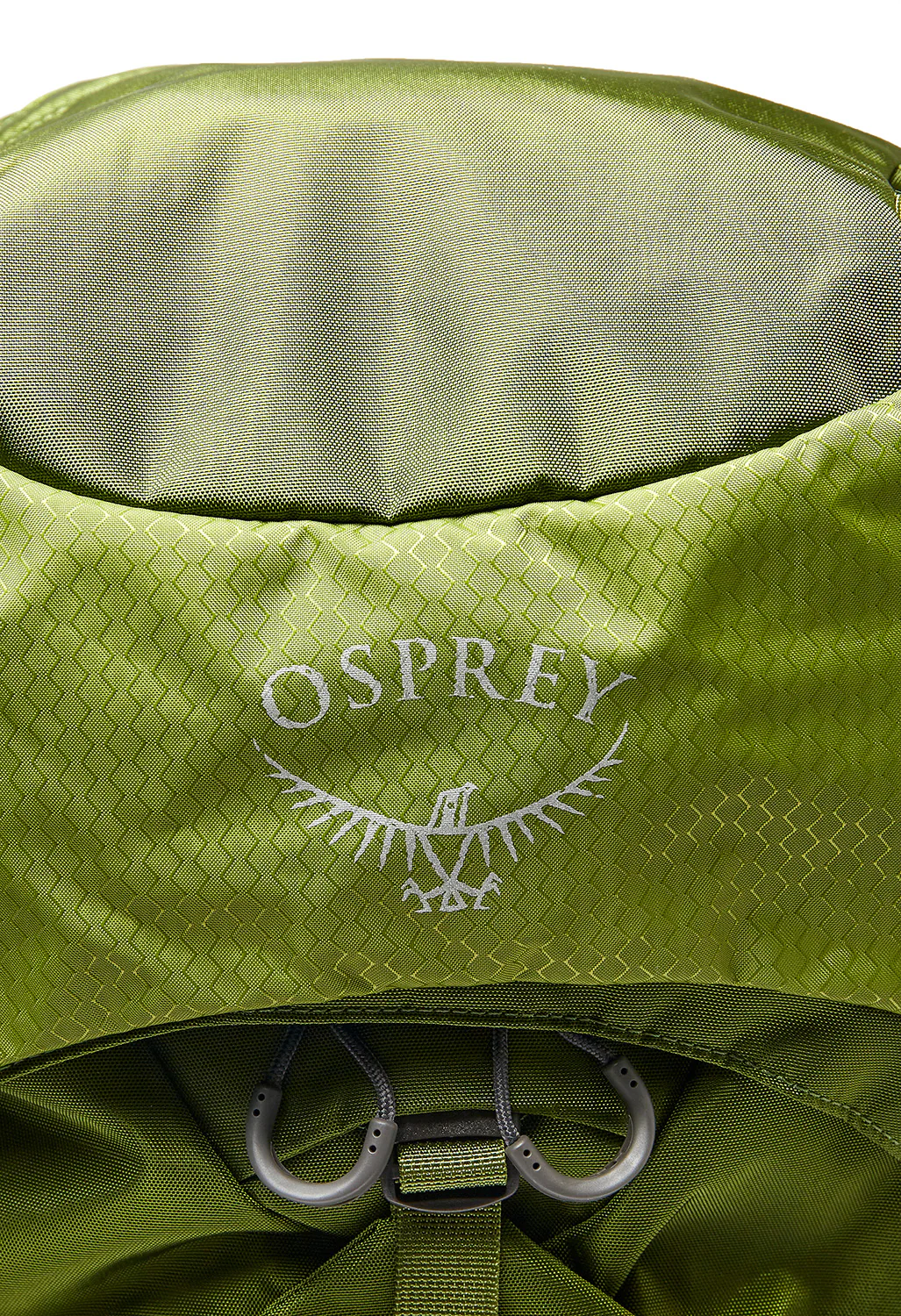 Osprey Aether 65 Backpack - Garlic Mustard Green - Image 4
