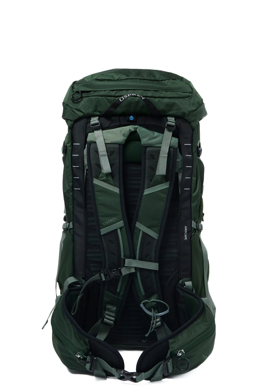 Osprey Talon 33 - Green Canopy  /  Pine Leaf - Image 3