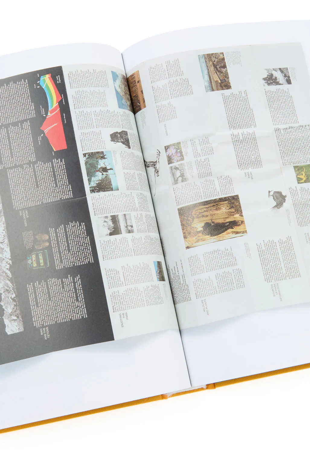 Standards Manual Parks Book - Image 4