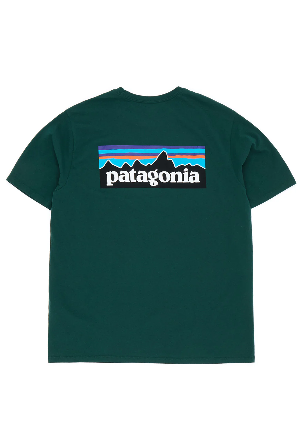 Patagonia Men's P-6 Logo Responsibili-Tee - Cascade Green