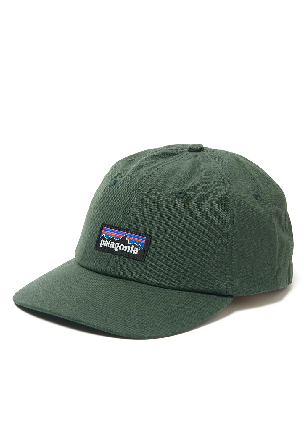 Patagonia P-6 Label Trad Cap - Pinyon Green