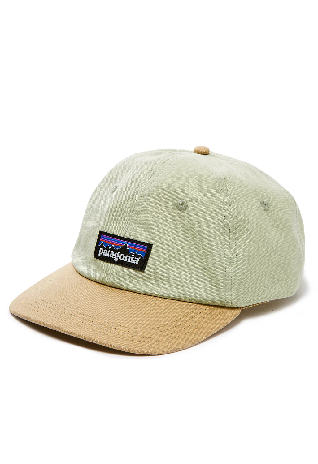 Patagonia P-6 Label Trad Cap - SLVG Salvia Green
