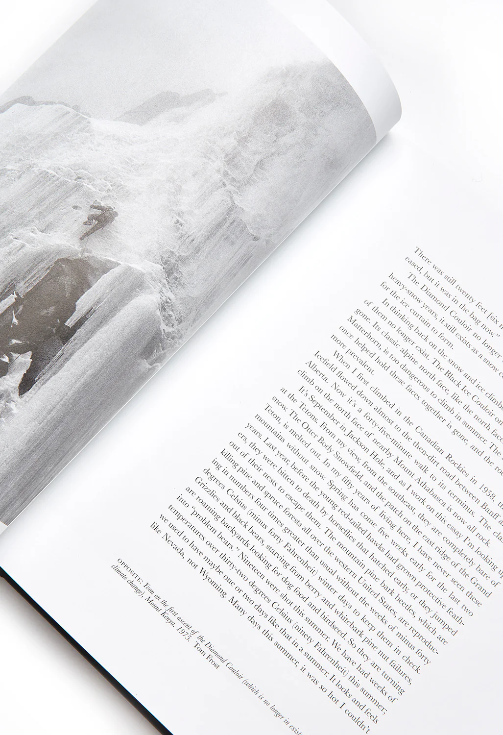 Patagonia Some Stories: Lessons from the Edge of Business and Sport - Image 3
