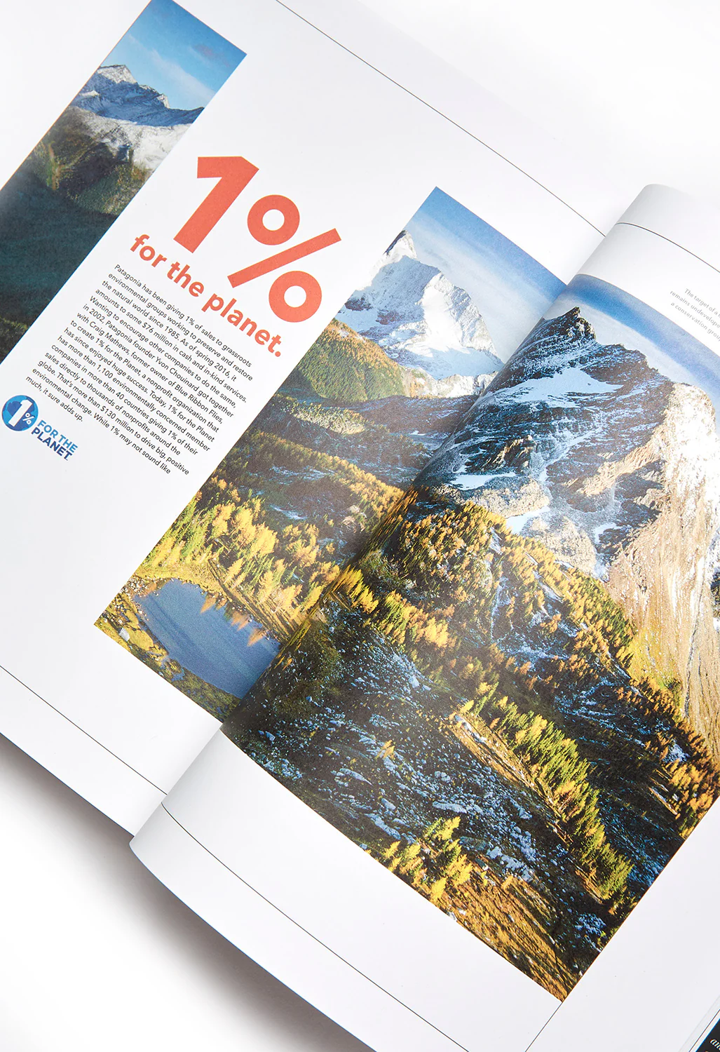 Patagonia Some Stories: Lessons from the Edge of Business and Sport - Image 4