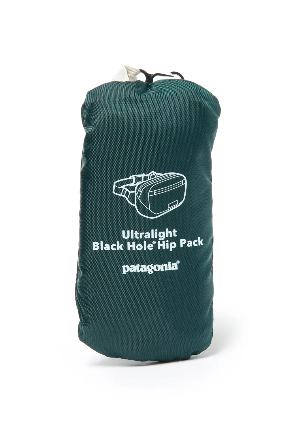 Patagonia Ultralight Black Hole Mini Hip Pack - Borealis Green - Image 4