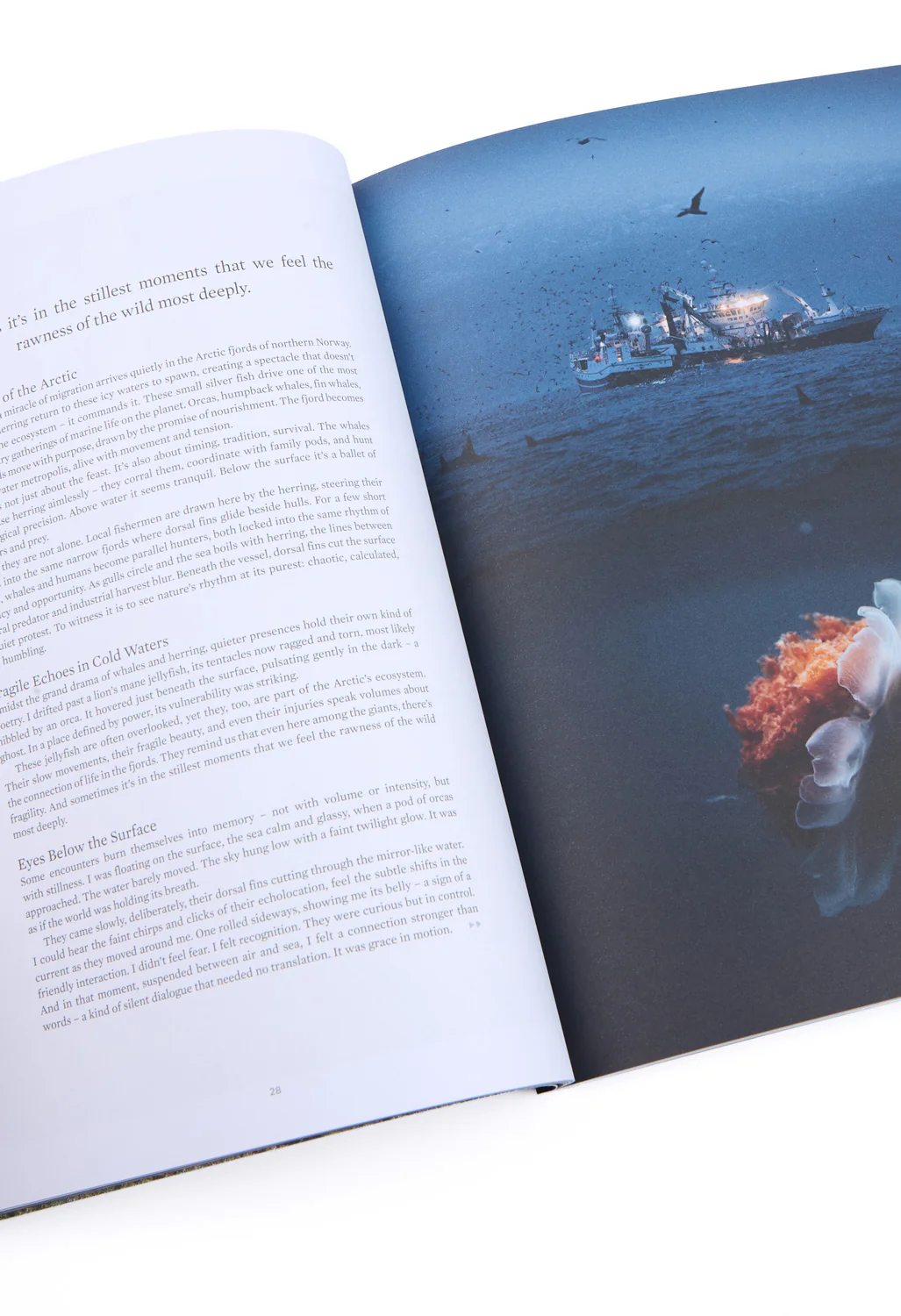 Sidetracked Magazine Volume 33 - Image 3