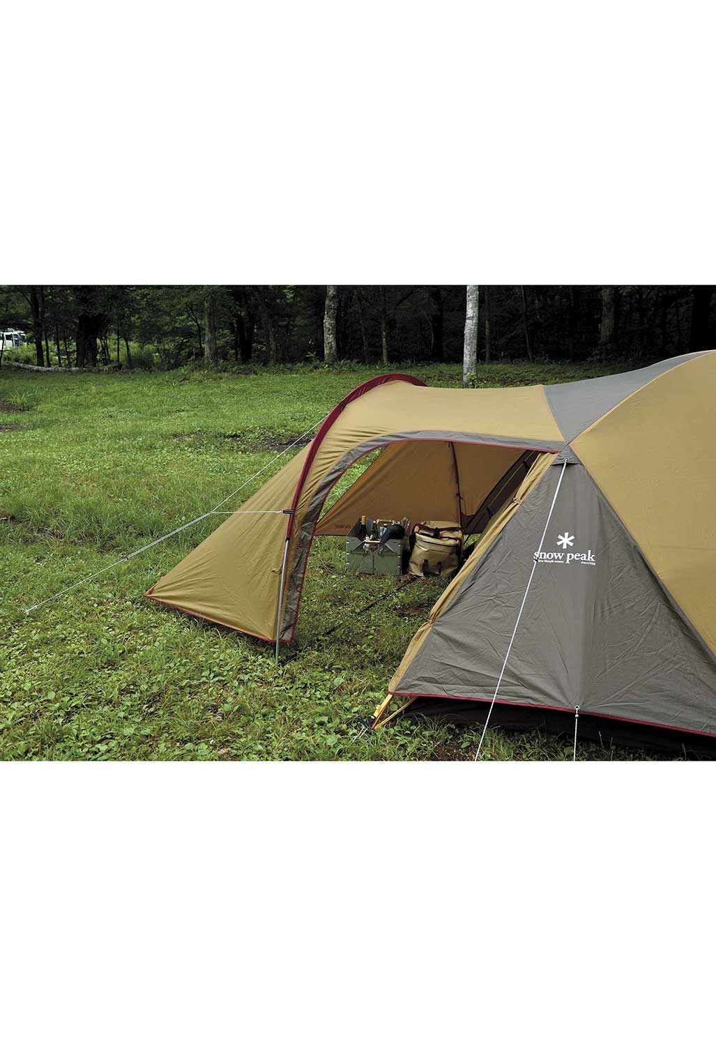 Snow Peak Amenity Dome L Tent - Tan - Image 3