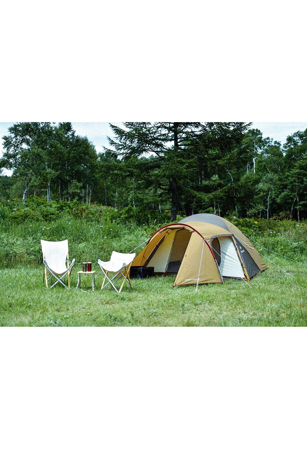 Snow Peak Amenity Dome M Tent - Tan - Image 5