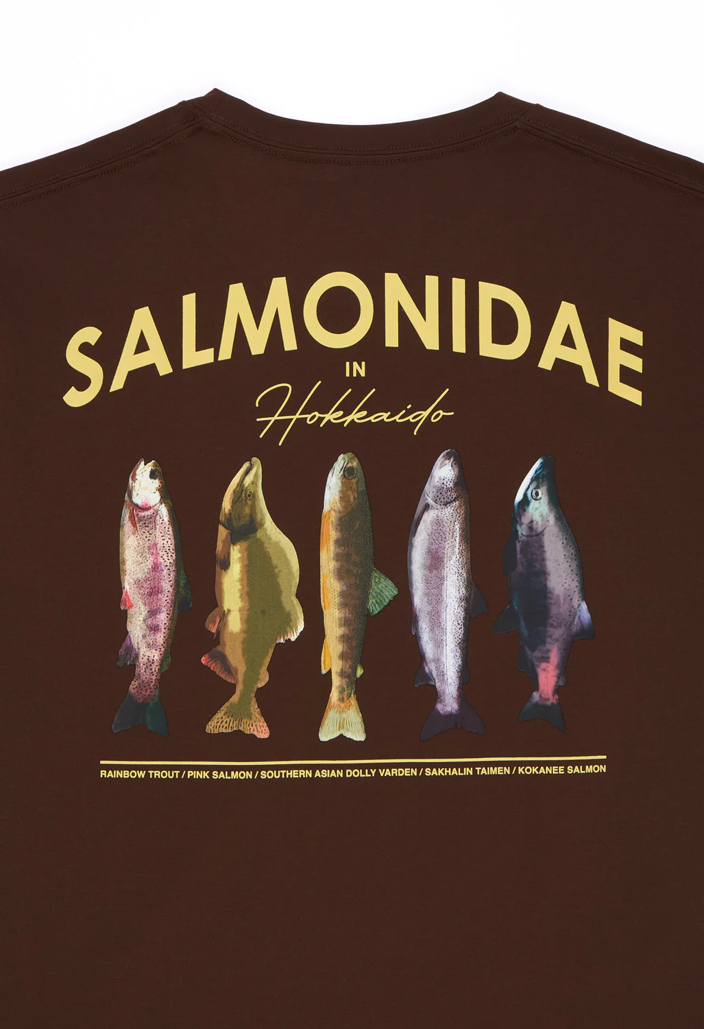 Snow Peak Men's Northland Trout Dry T-Shirt - Brown - Image 4
