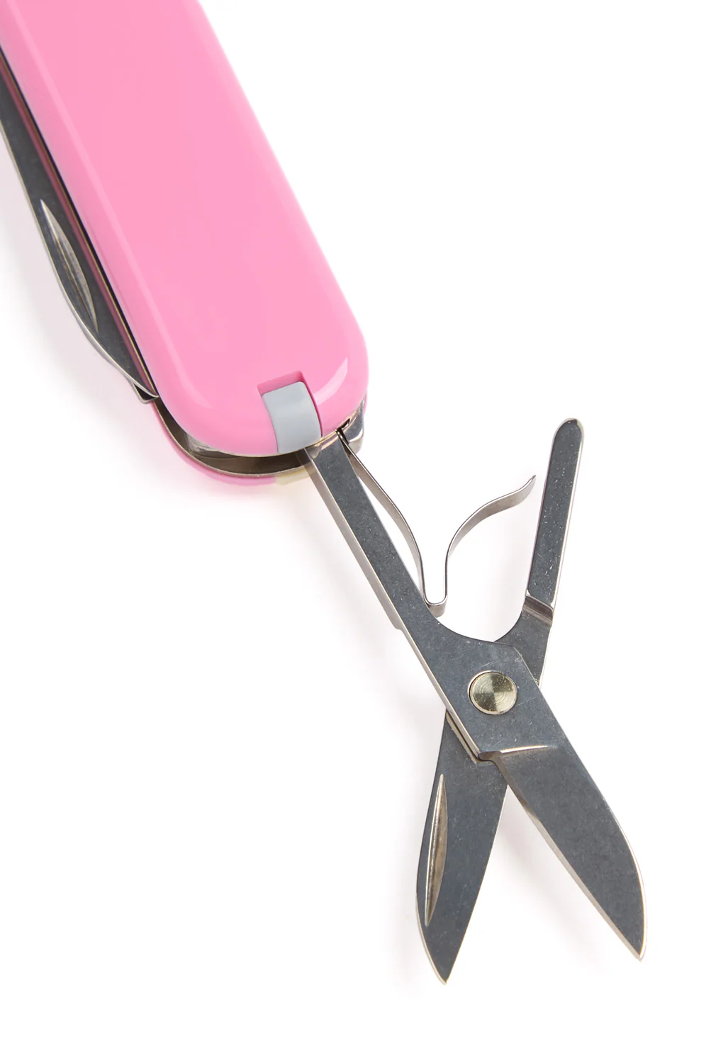 Victorinox Classic SD Knife - Cherry Blossom - Image 4