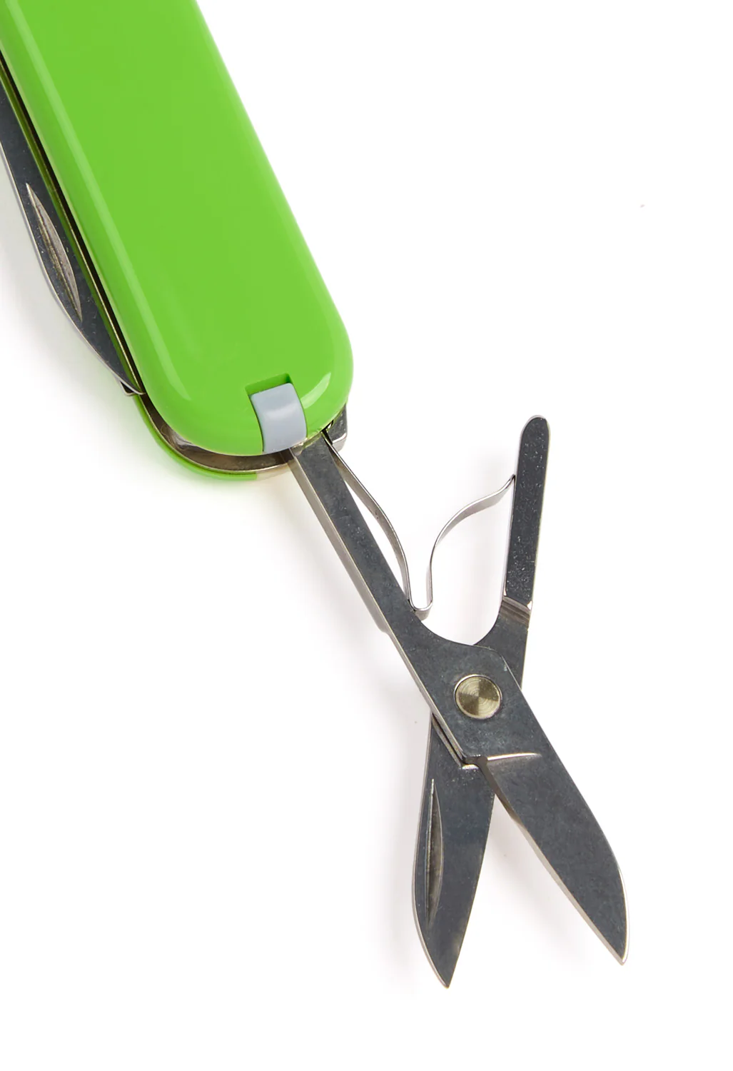 Victorinox Classic SD Knife - Smashed Avocado - Image 4
