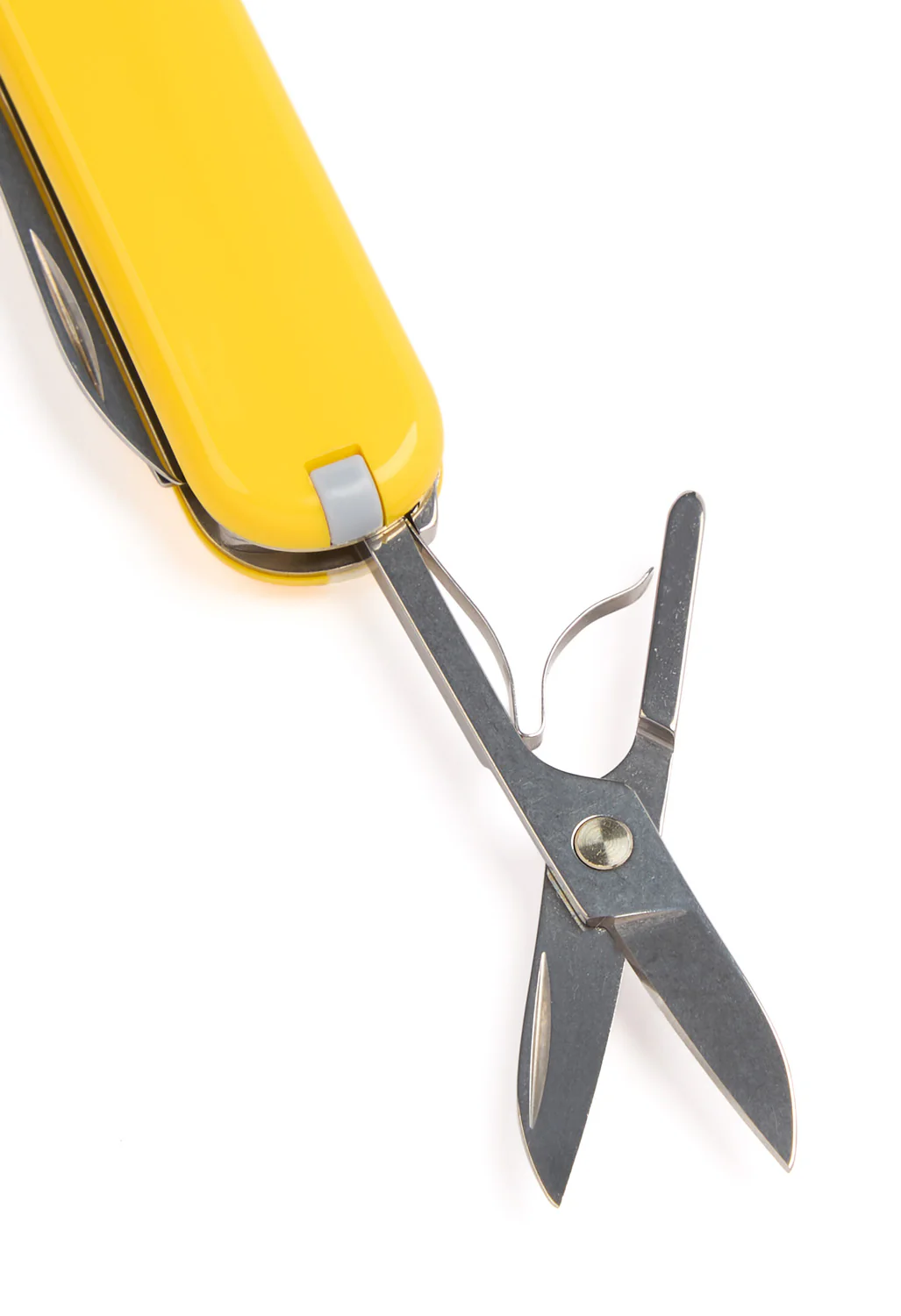 Victorinox Classic SD Knife - Sunny Side - Image 4