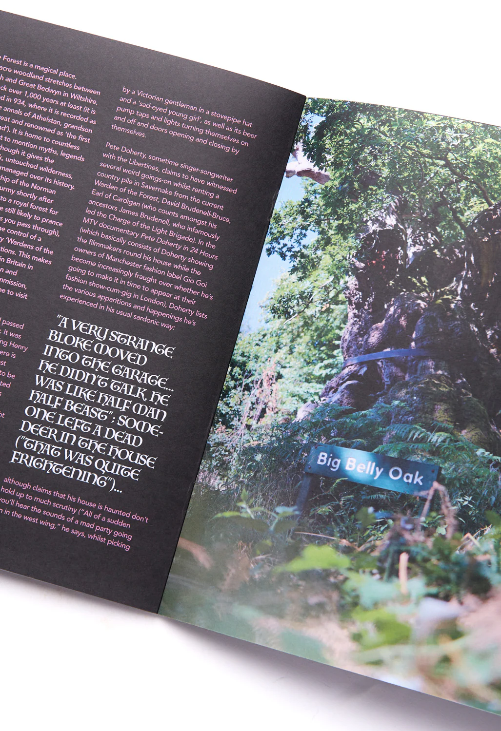 Weird Walk Zine Issue 6 - Image 3